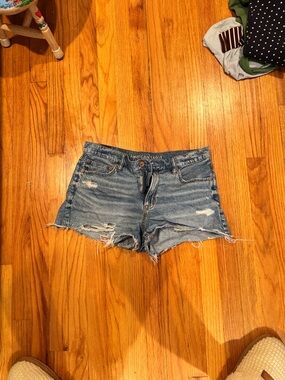 American Eagle Outfitters Light Blue Distressed Jean Shorts